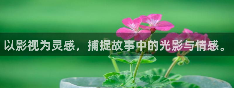茄子视频手机app