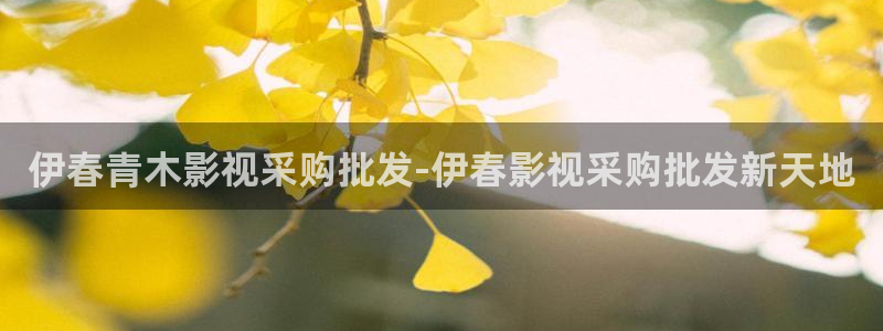 茄子视频资源在线观看