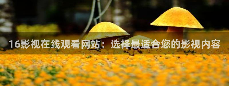 茄子视频老版