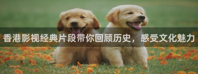 茄子视频在线观看bd